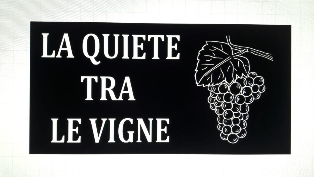 La Quiete Tra Le Vigne Tuscany Коллесальветти Экстерьер фото
