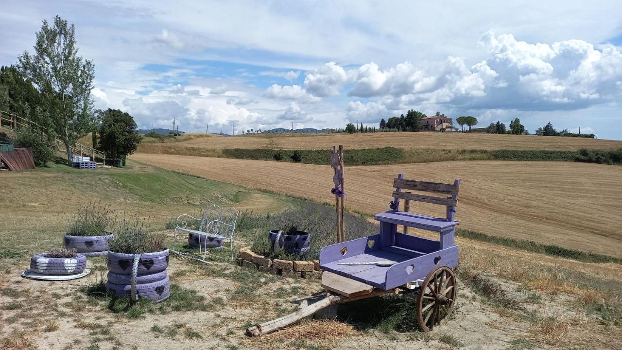 La Quiete Tra Le Vigne Tuscany Коллесальветти Экстерьер фото